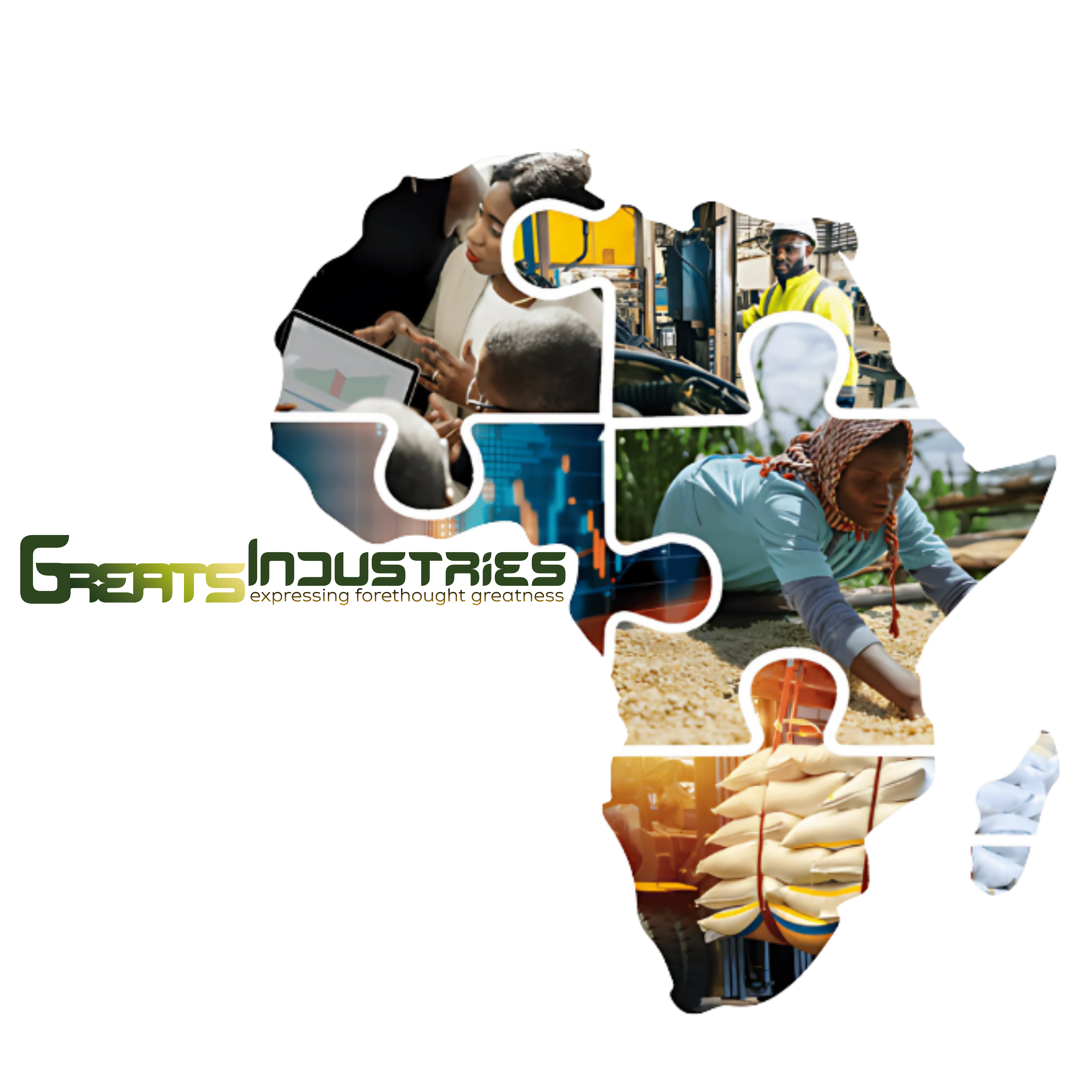 Developed by Africans for Africans in Africa
